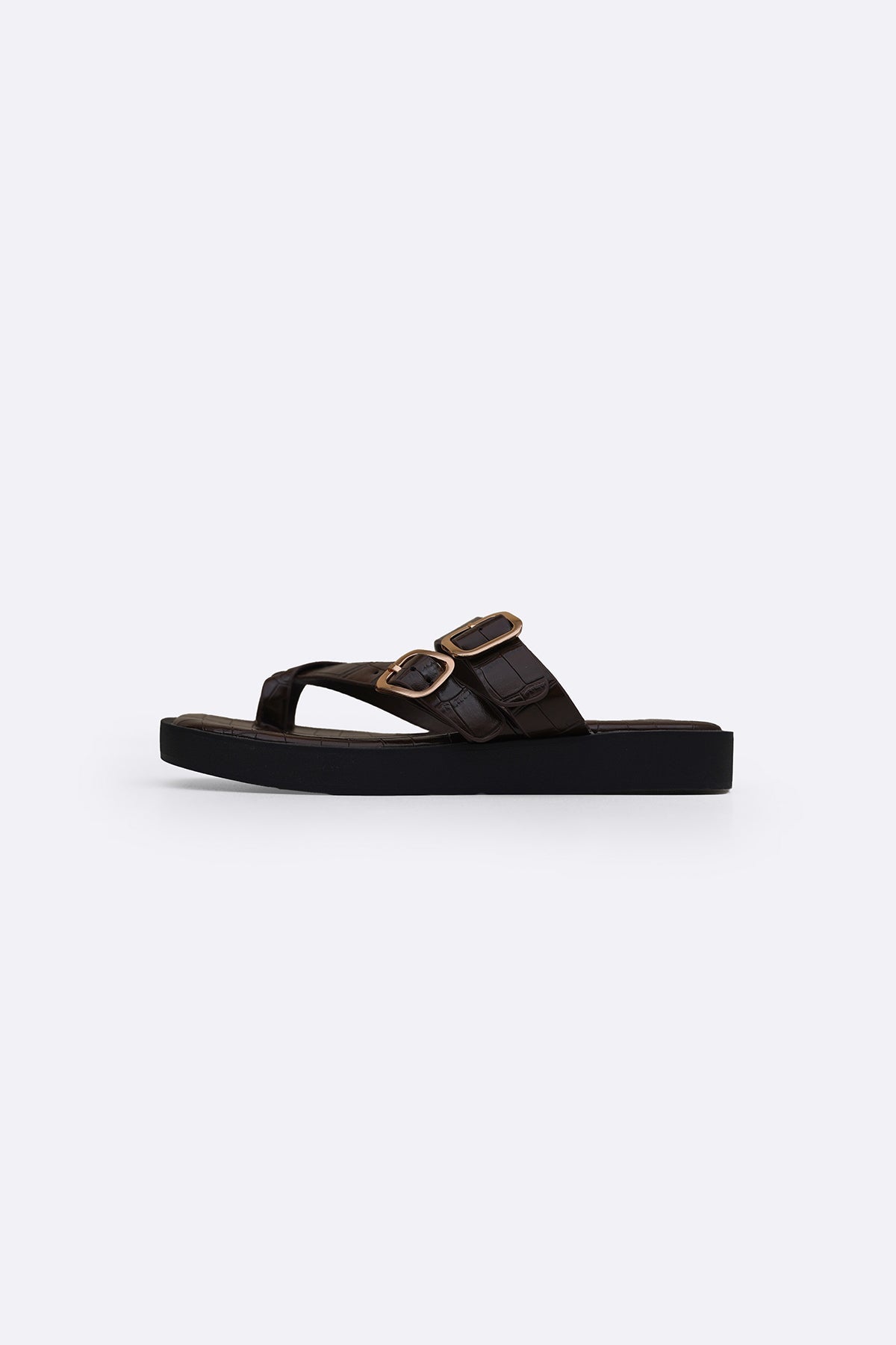 COFFEE SAND DUNE SLIDES