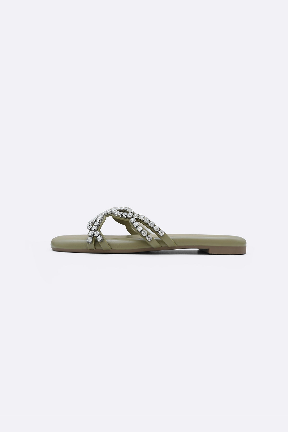 OLIVE CLOVER PARTY SLIDES