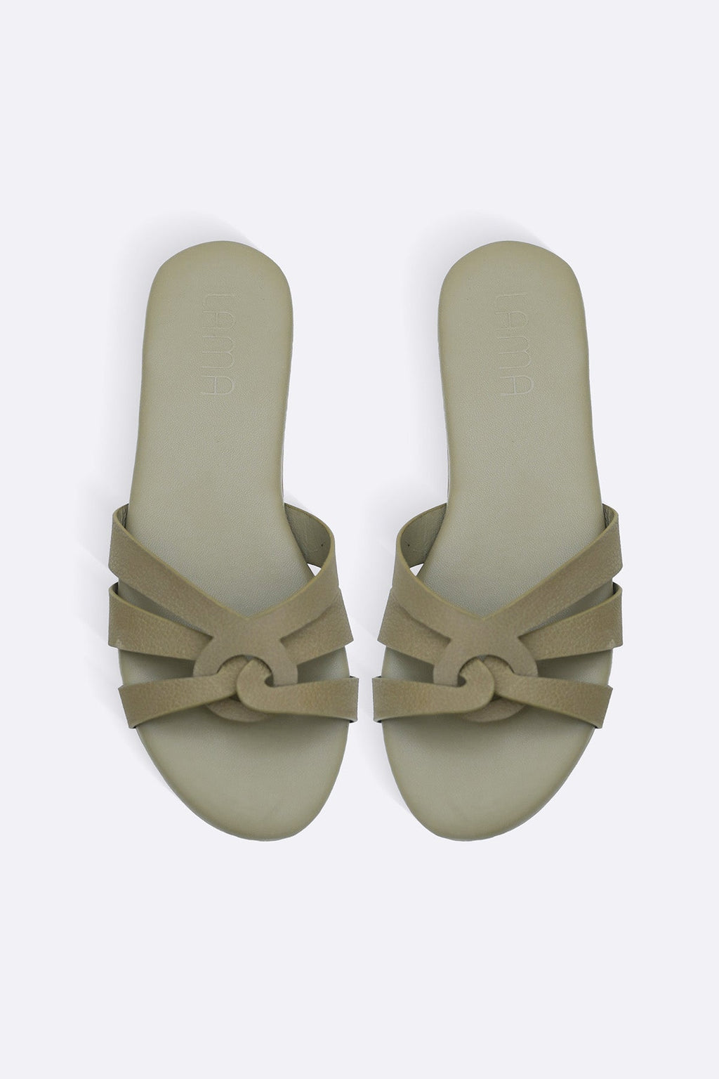 OLIVE RENO DAY SLIDES