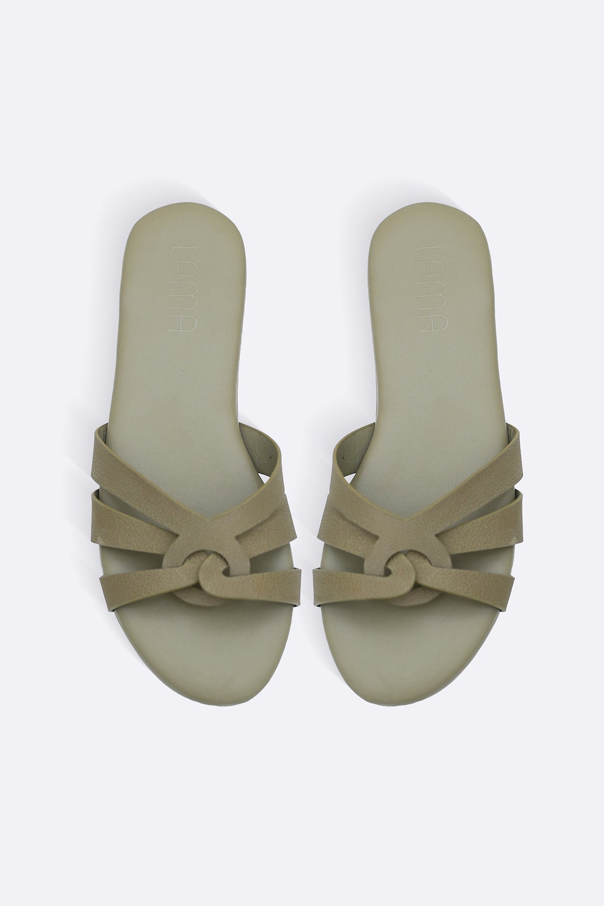 OLIVE RENO DAY SLIDES
